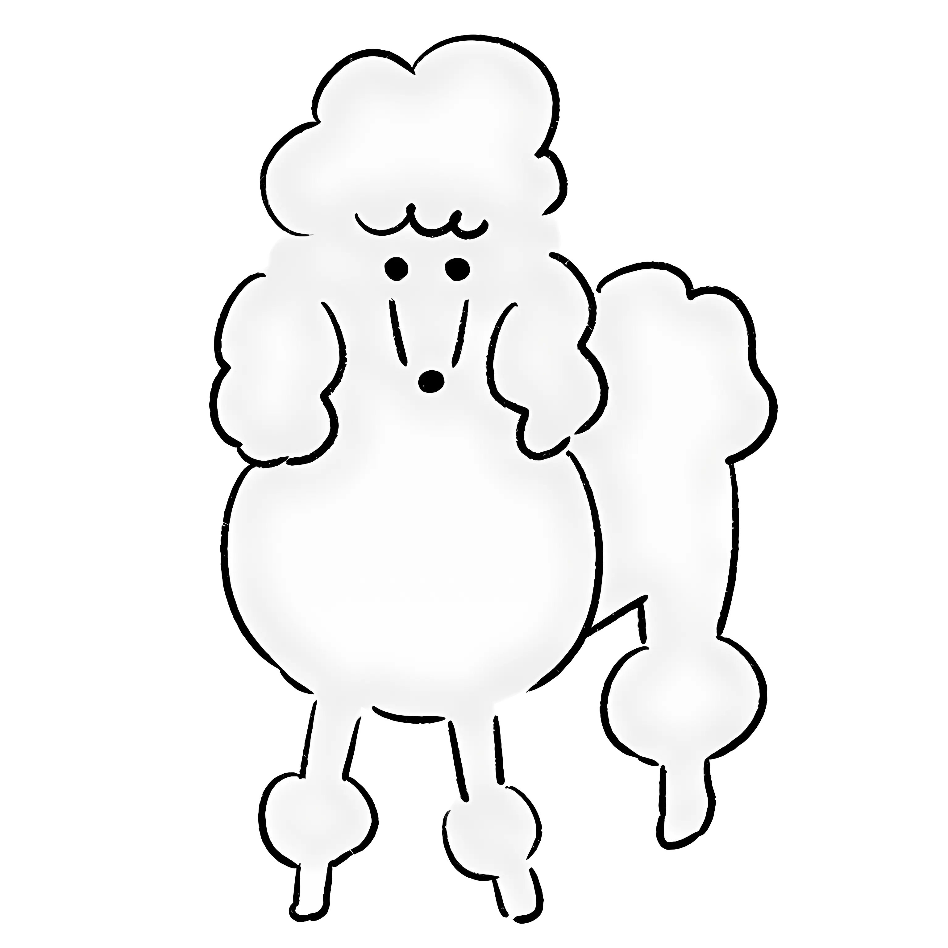 Cute White Poodle Doodle