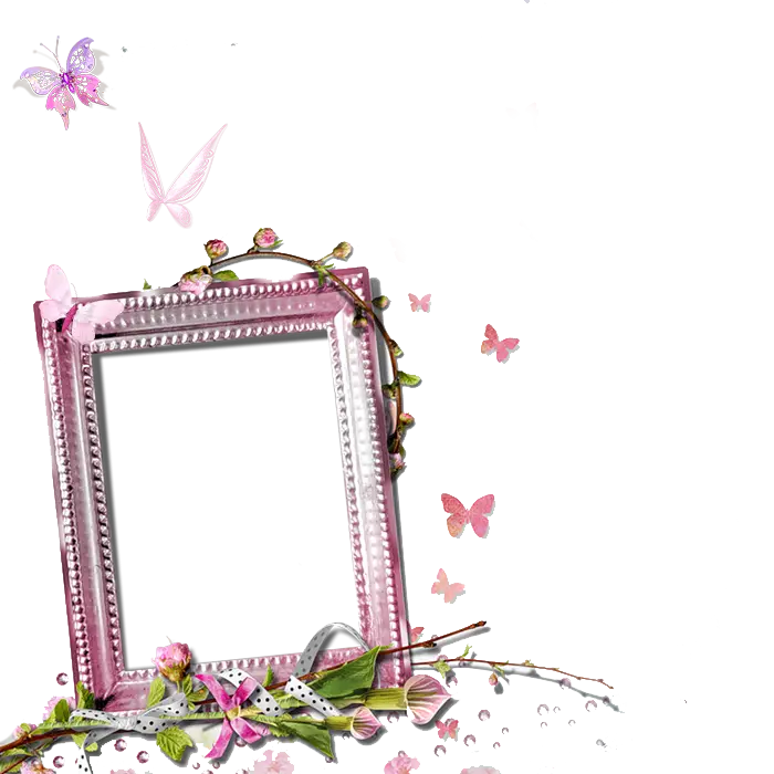 Decorative Frame with Butterflies and Flowers