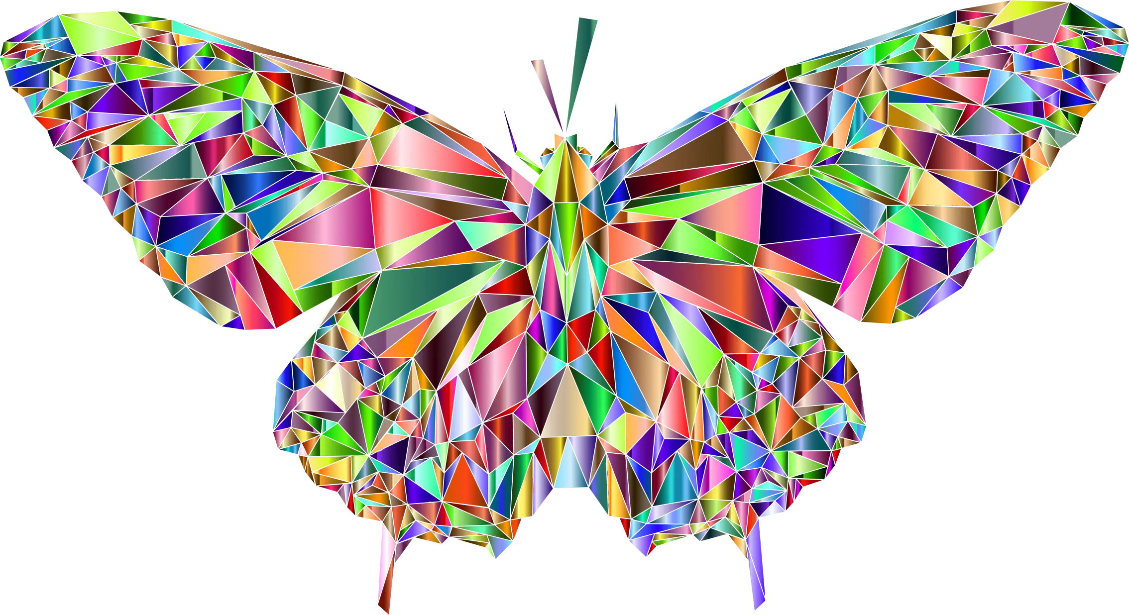Colorful Butterfly Illustration
