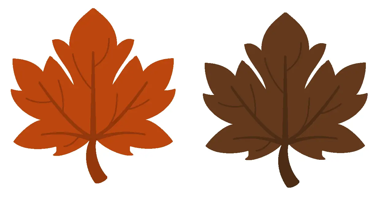 Autumn Leaves Illustration