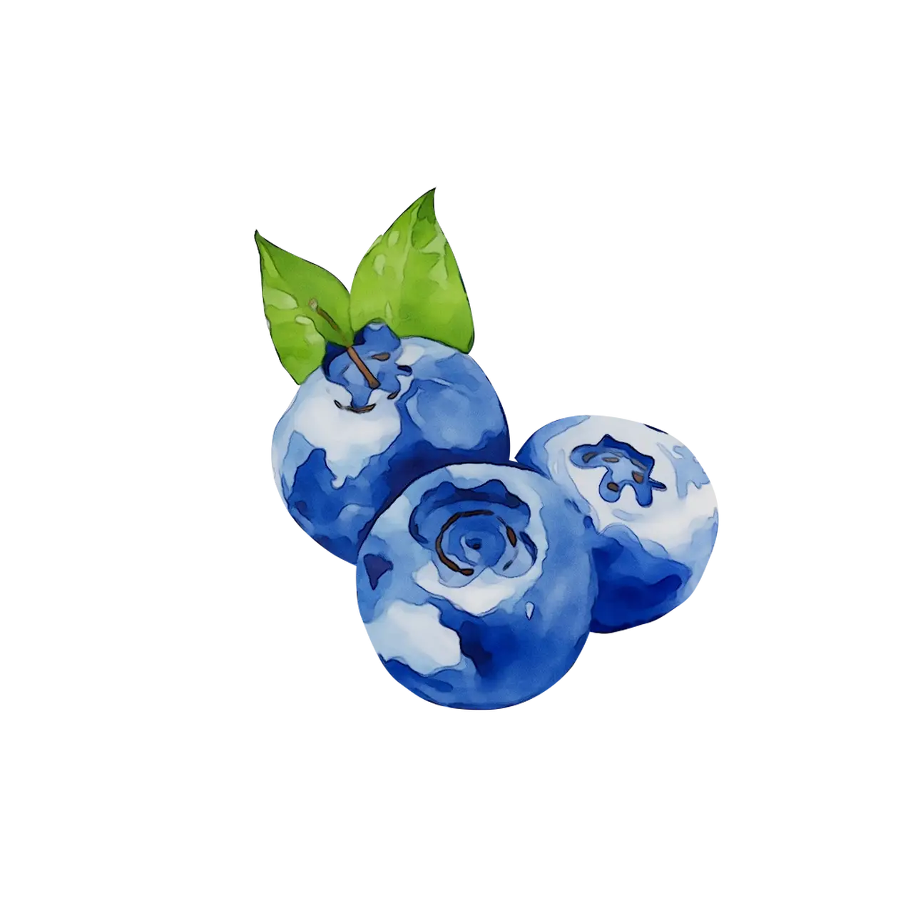 Watercolor Blueberries with Green Leaves