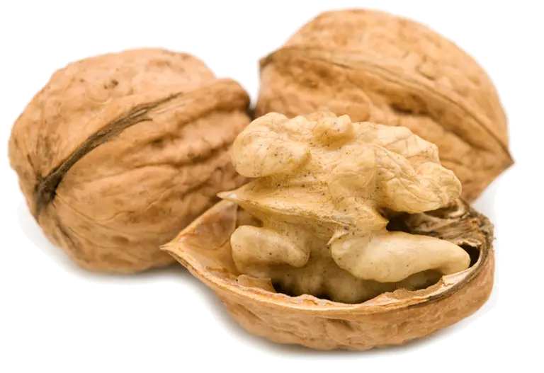 Fresh Walnuts