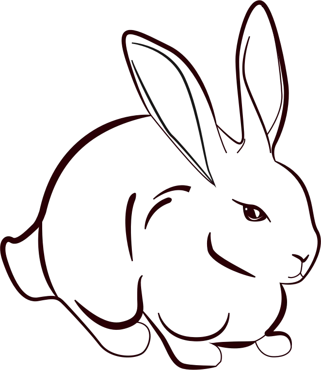 Simple Rabbit Sketch Illustration