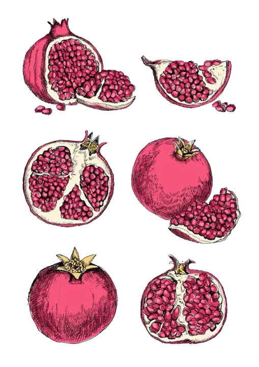 Juicy Pomegranate with Seeds