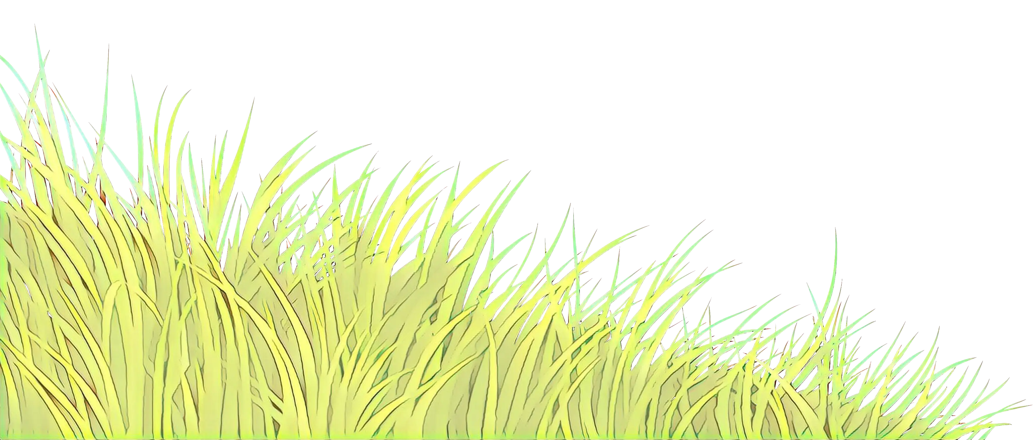 Natural Green Grass Patch