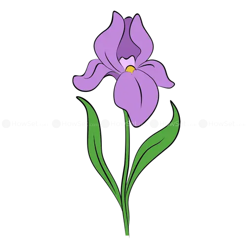 Purple Flower Illustration