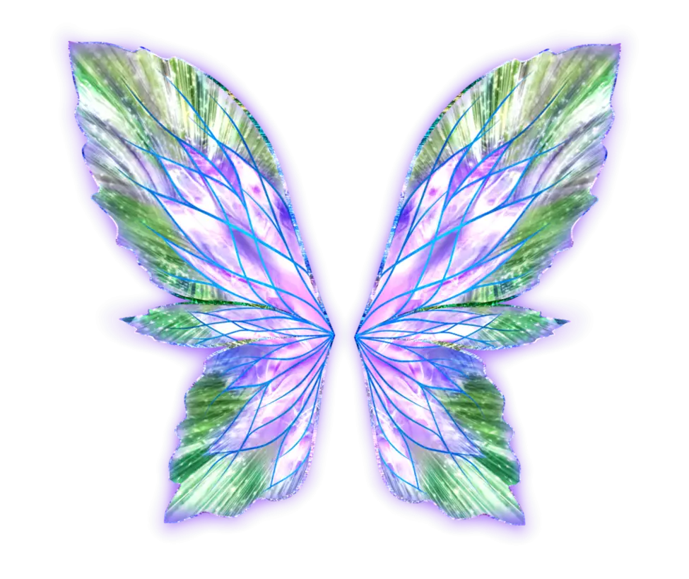 Colorful Fairy Wings Illustration
