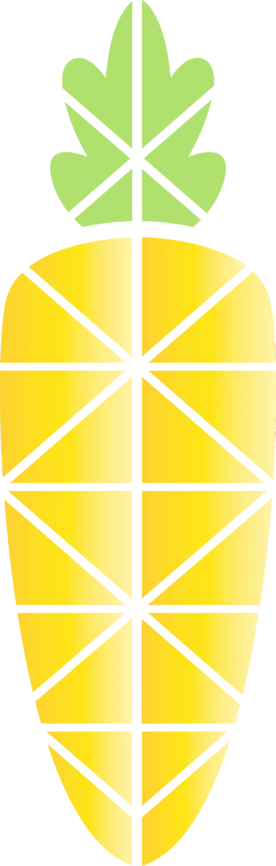 Geometric Pineapple Design