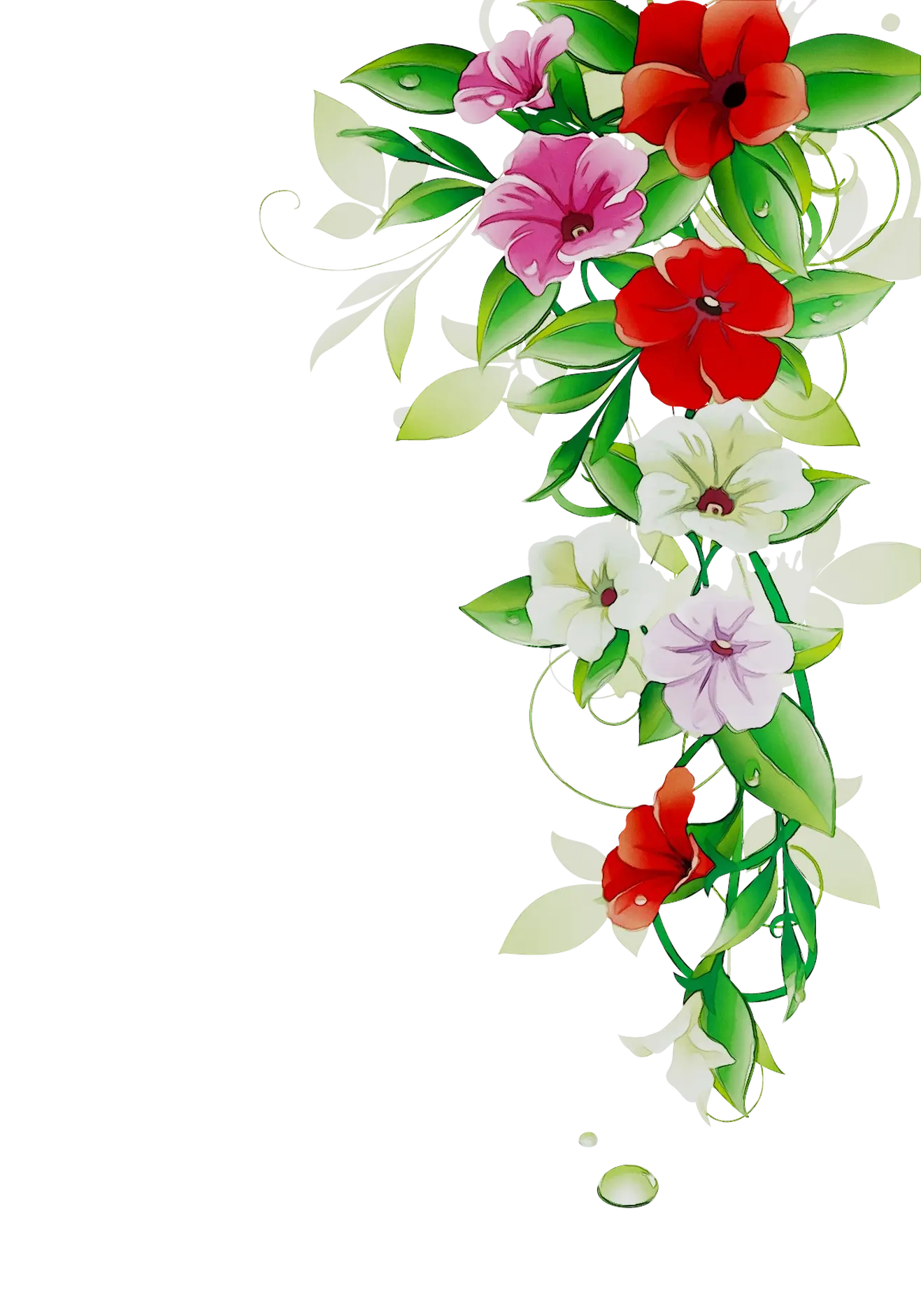 Colorful Flower Bouquet Illustration
