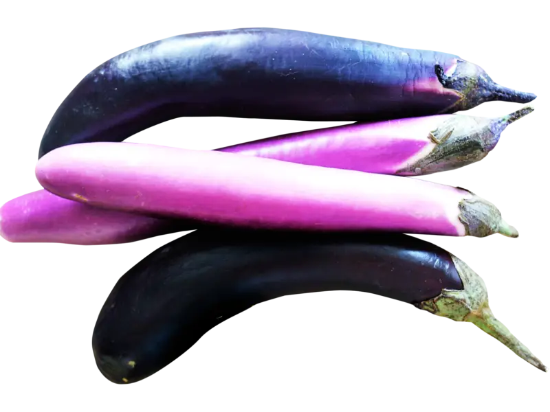 Fresh Purple and Slender Eggplants