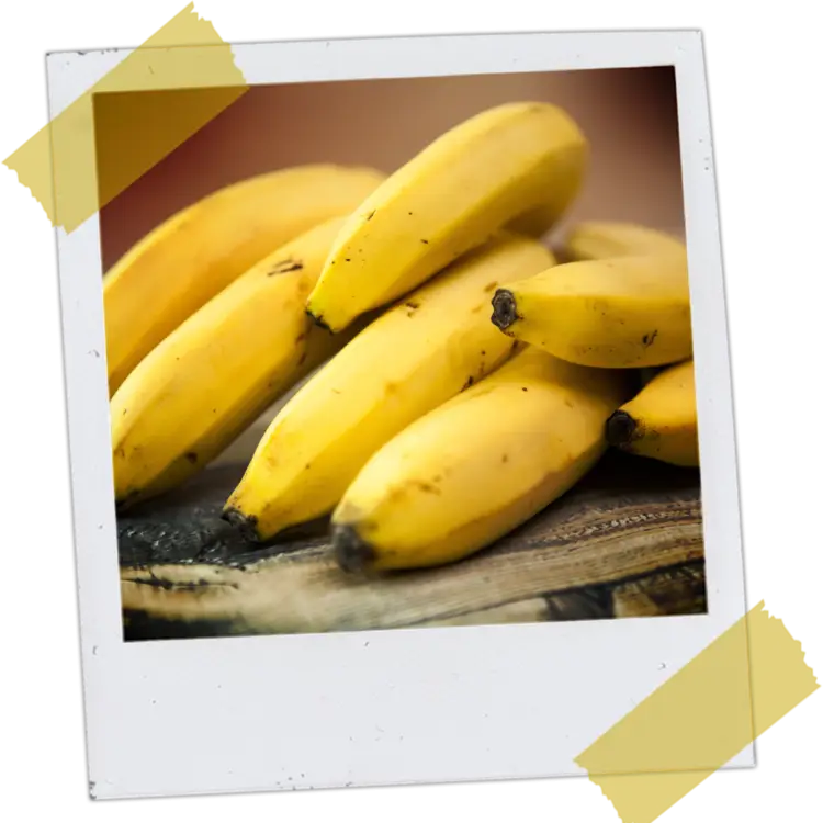 Bunch of Yellow Bananas