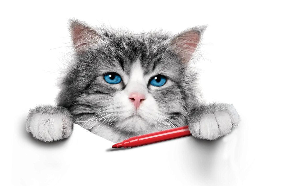 Gray Cat with Blue Eyes Holding a Red Pen