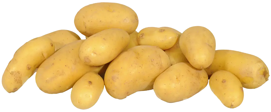 Pile of Fresh Potatoes
