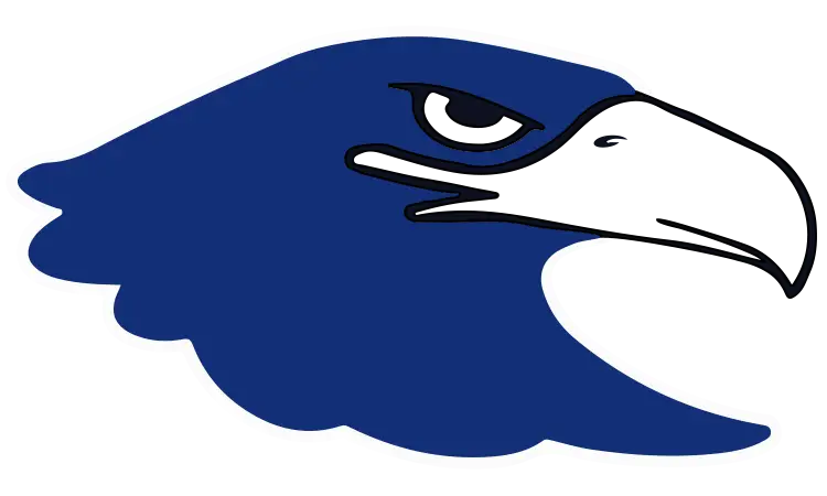 Hawk Head Logo Design