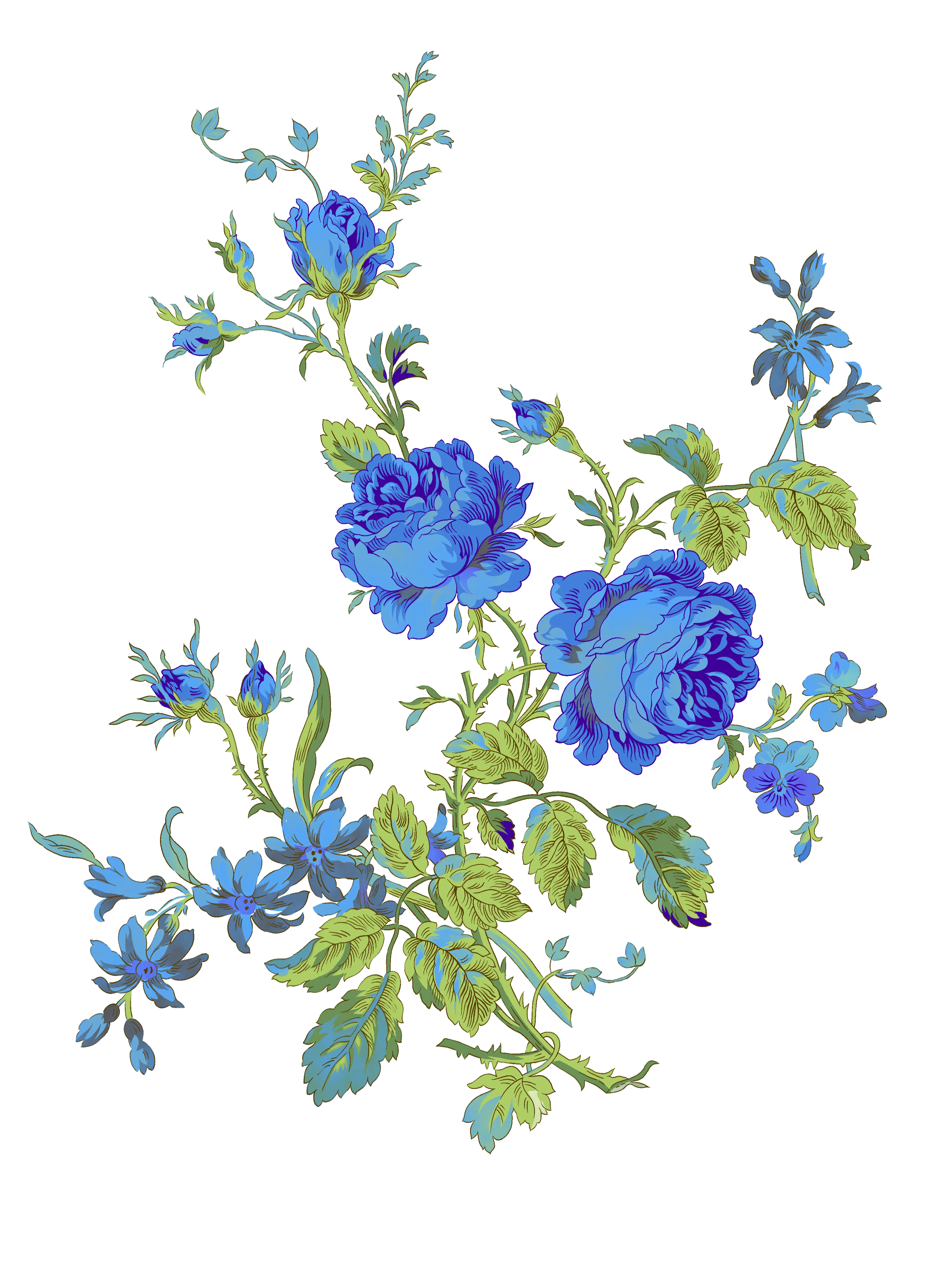 Beautiful Blue Flowers Illustration