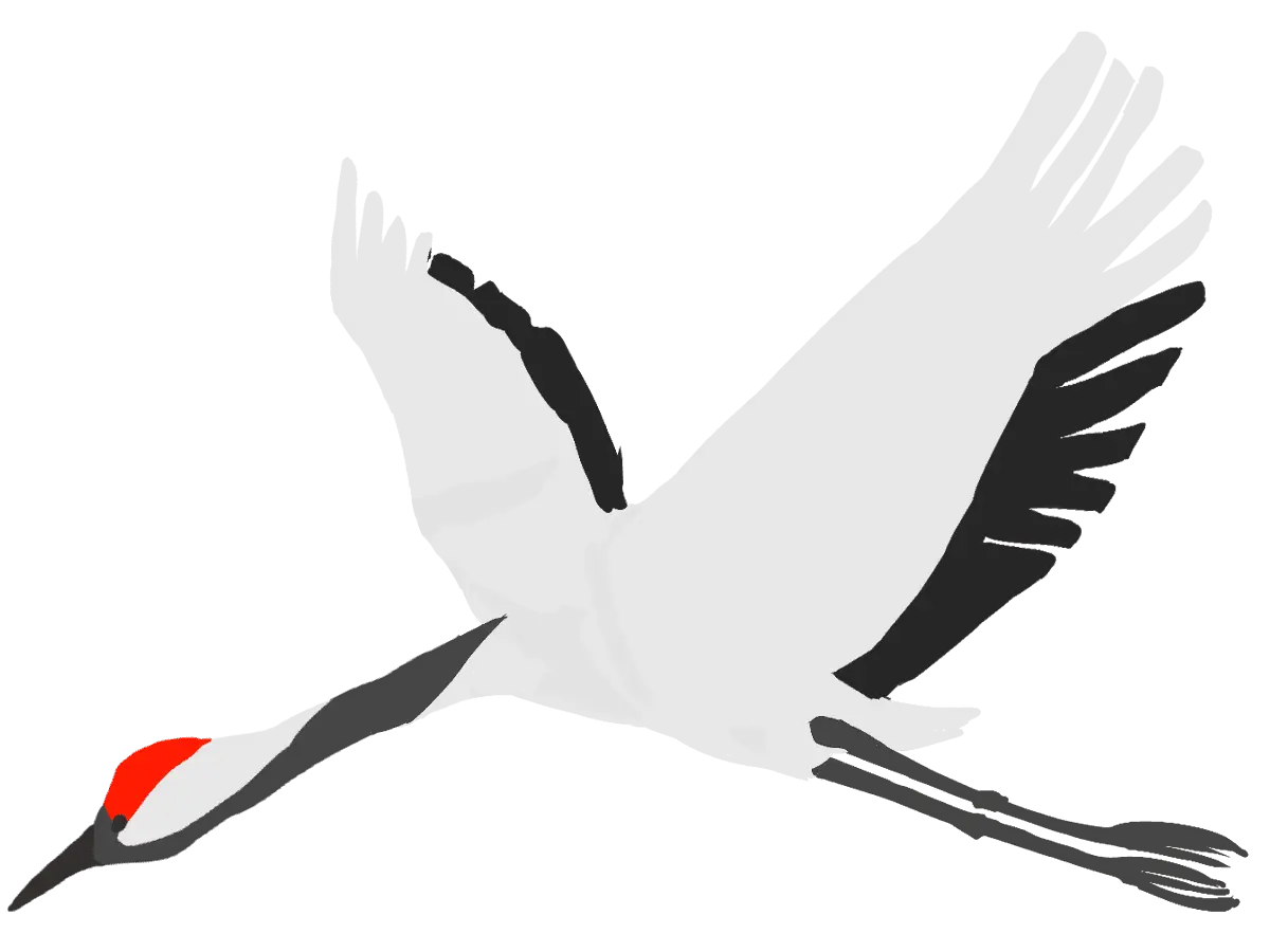 Flying Crane with Graceful Wings