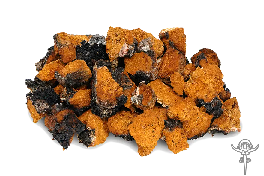 Chaga Mushroom Pieces