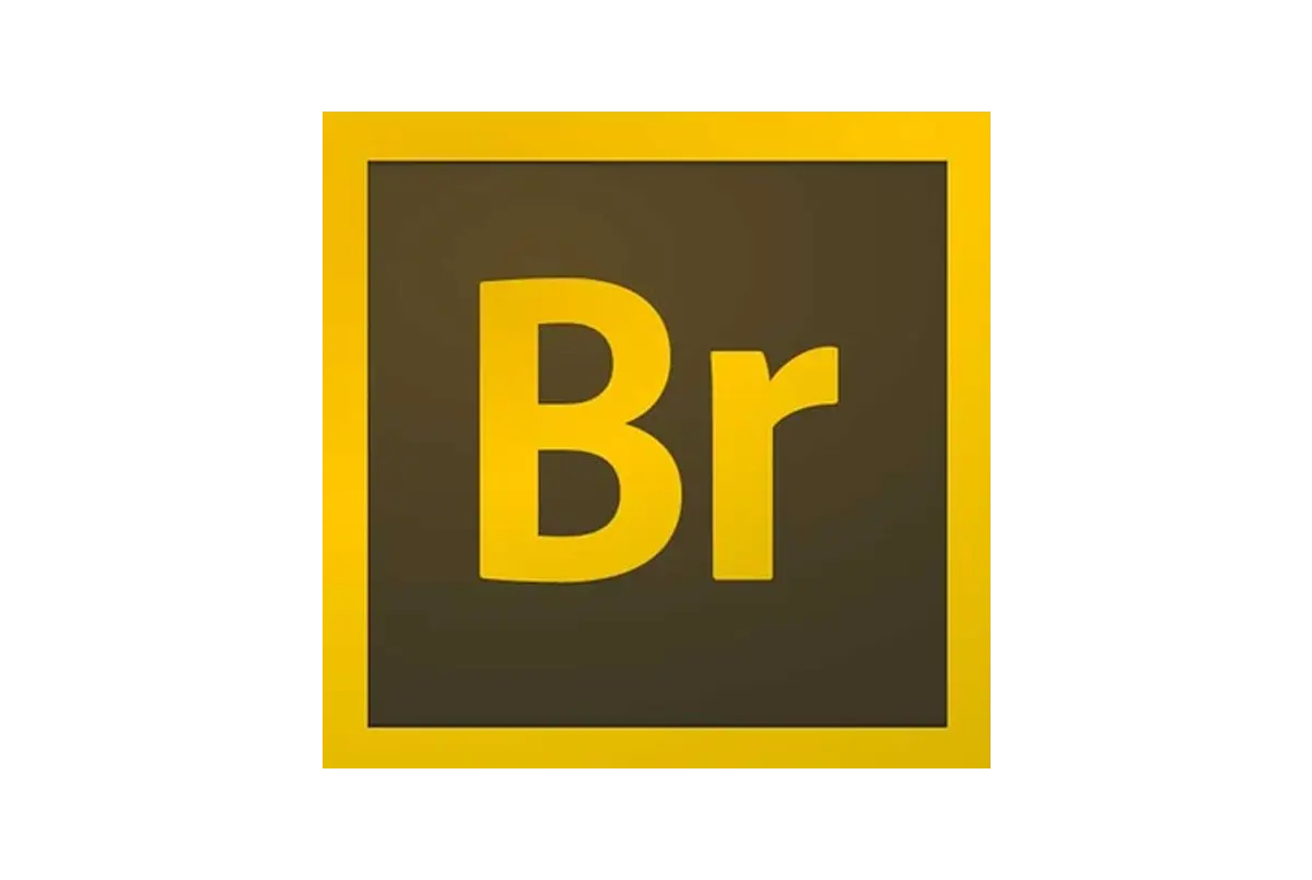 Br Logo Design