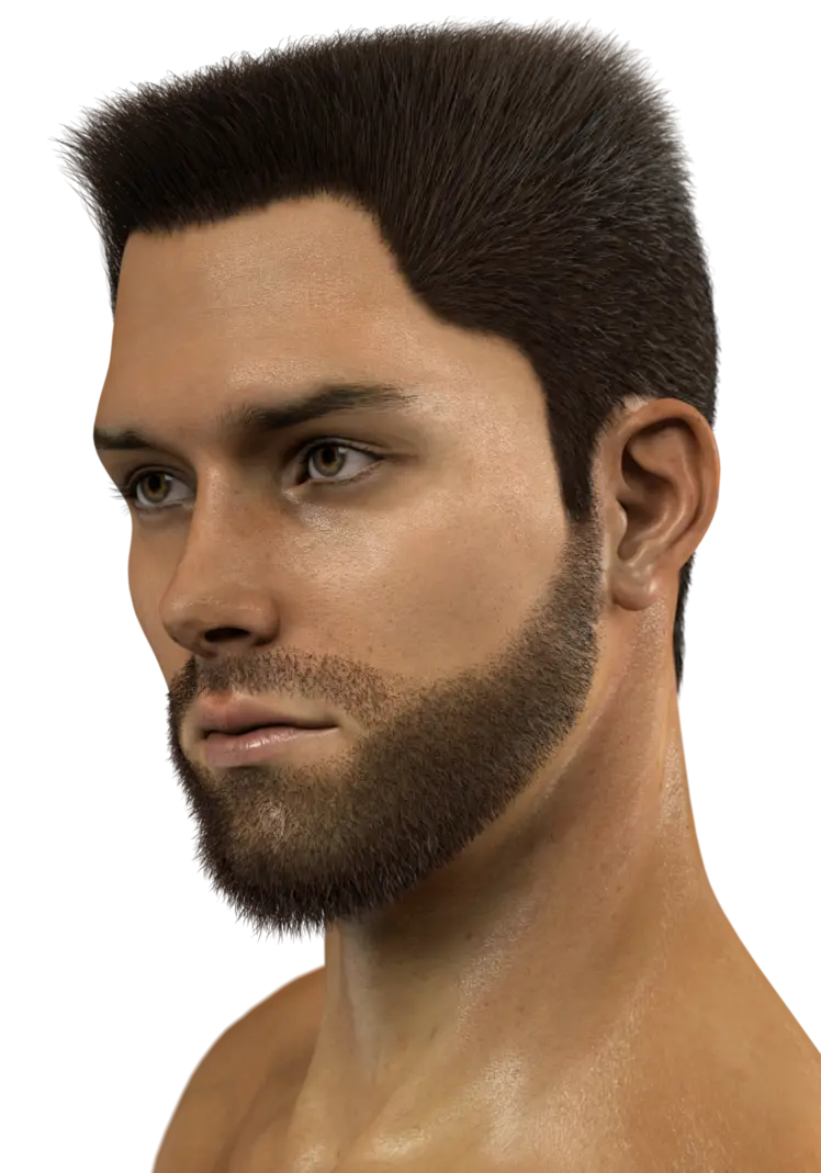 3D Model of a Man with Beard