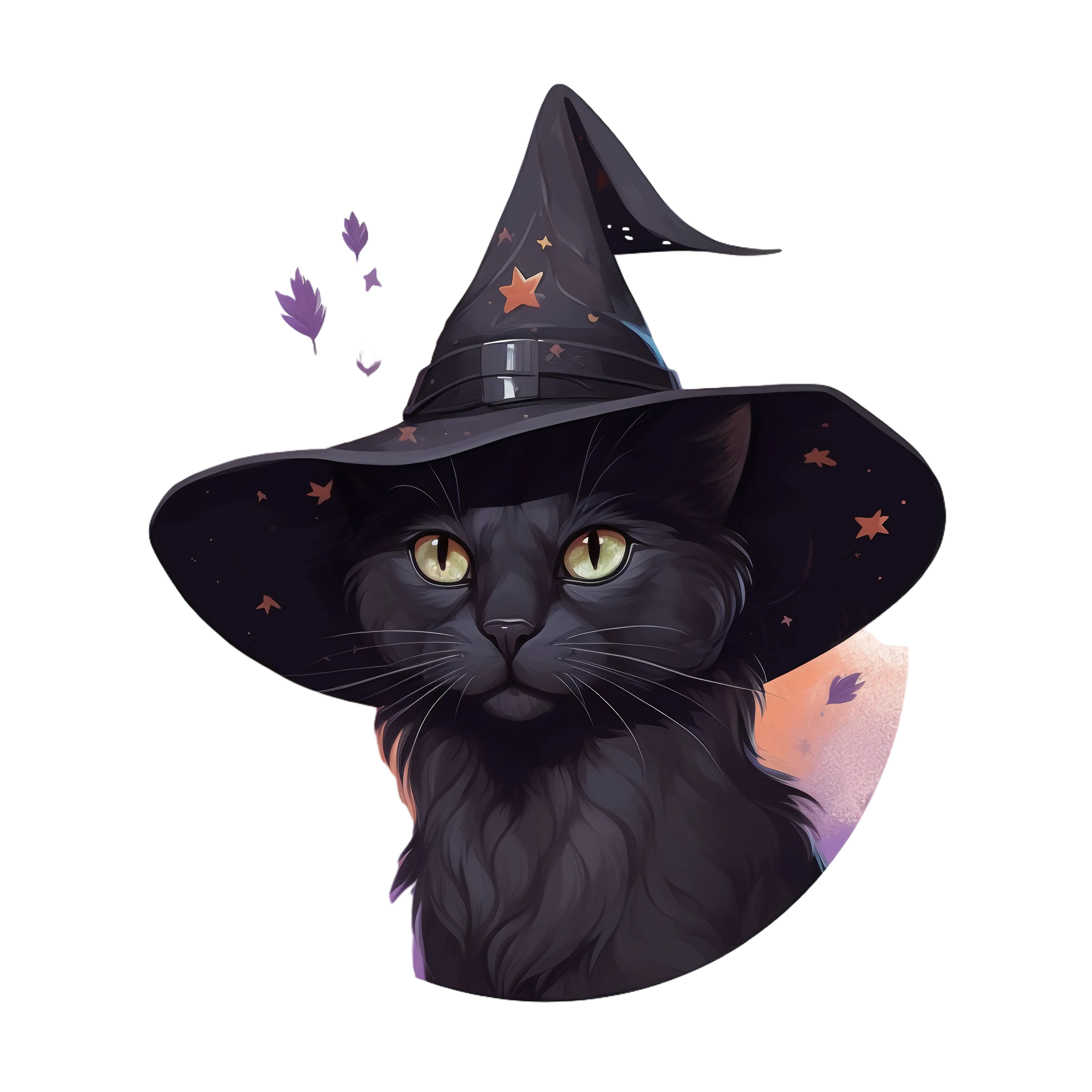 Black Cat in a Witch Hat for Halloween
