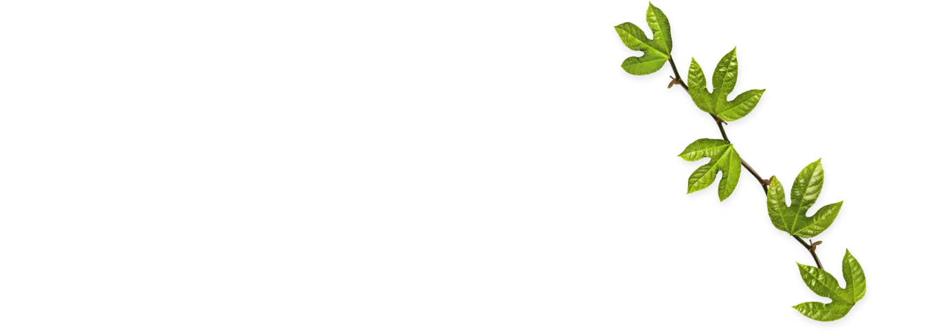 Green Vine Branch Decoration