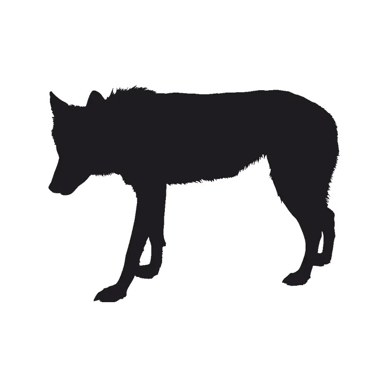 Black Silhouette of a Wolf