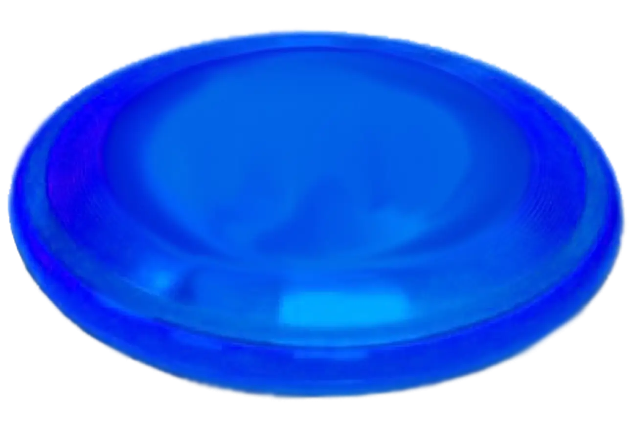 Blue Frisbee for Outdoor Activities