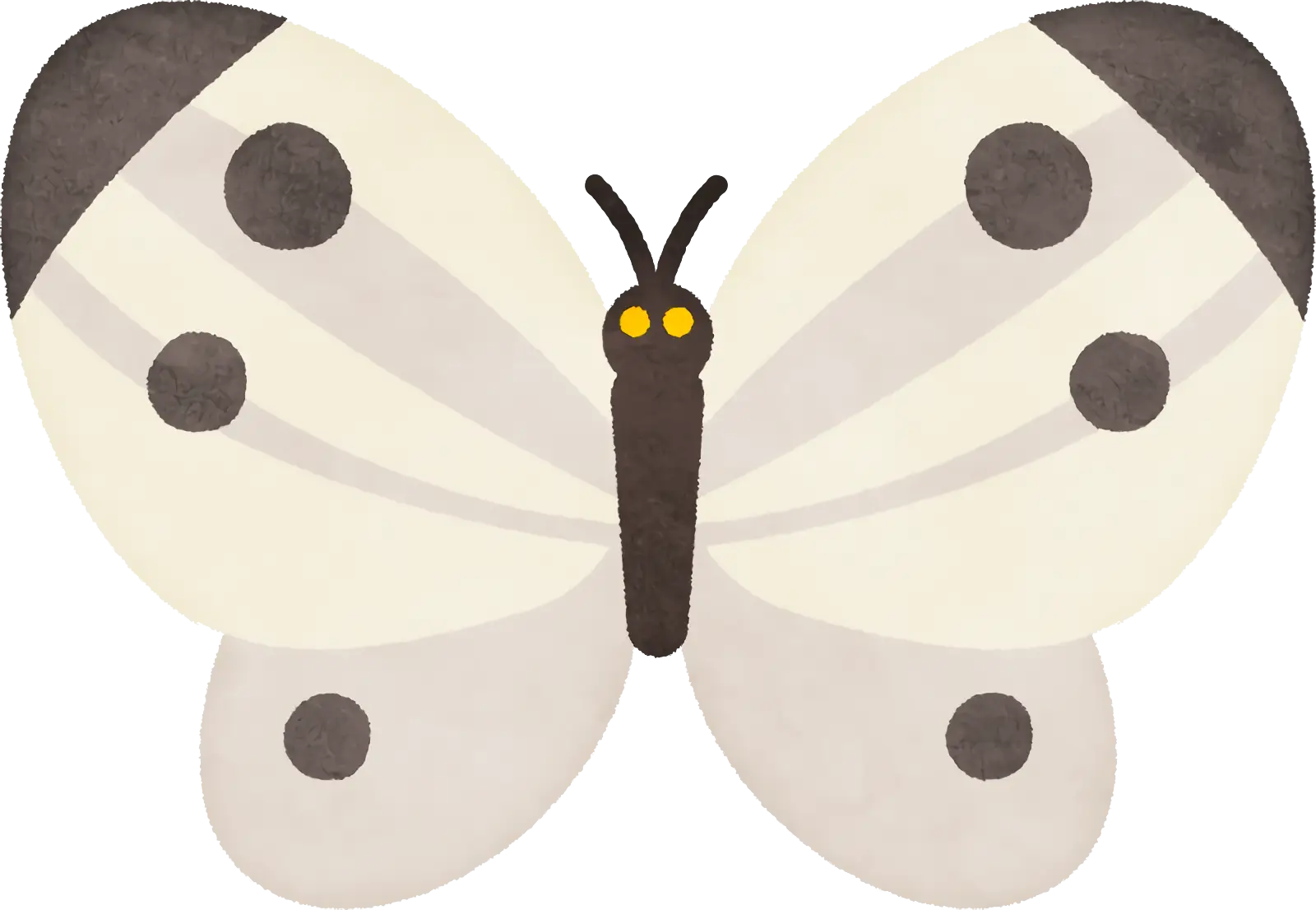 Spotted Butterfly Illustration