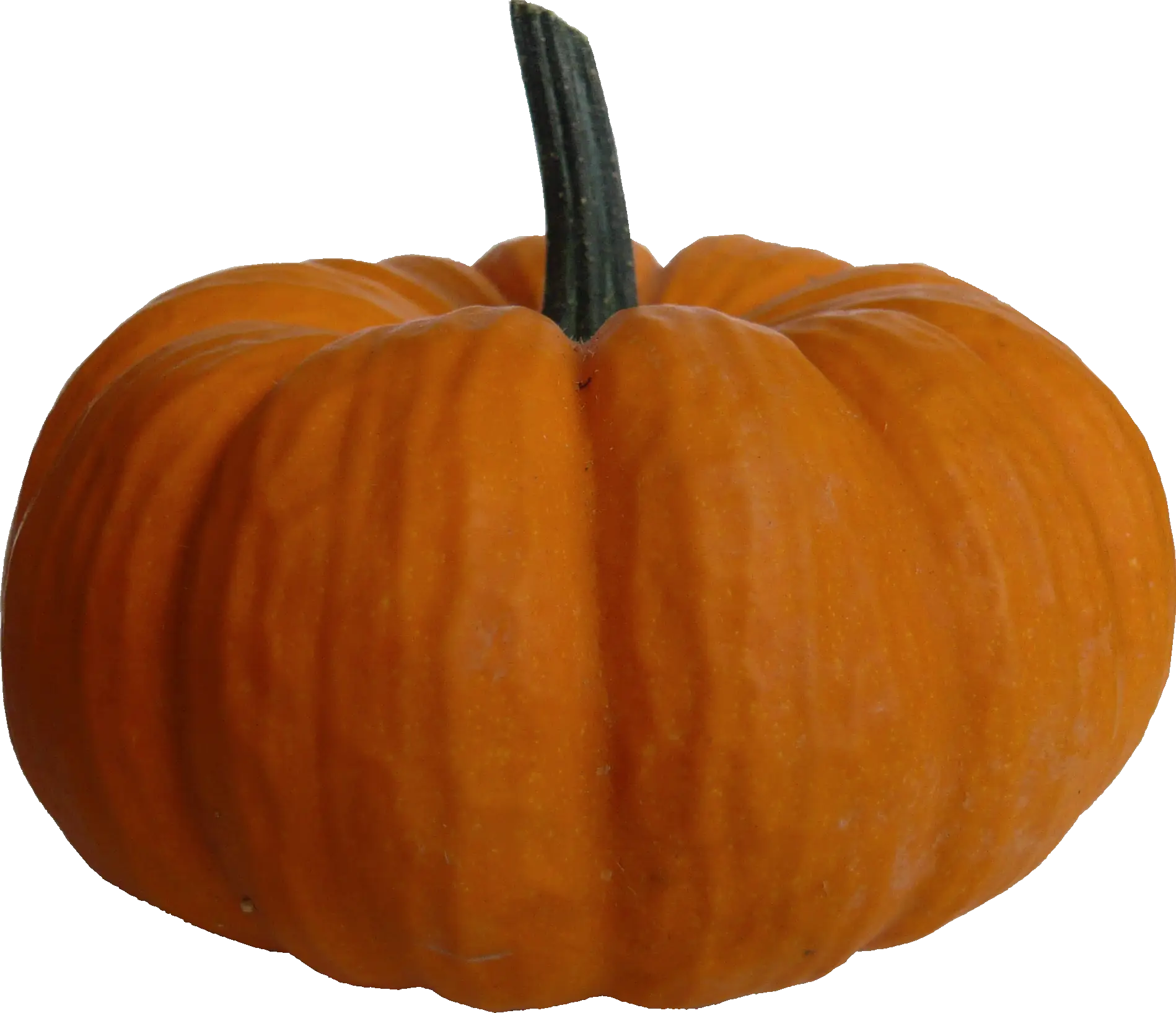Orange Pumpkin for Autumn Decor