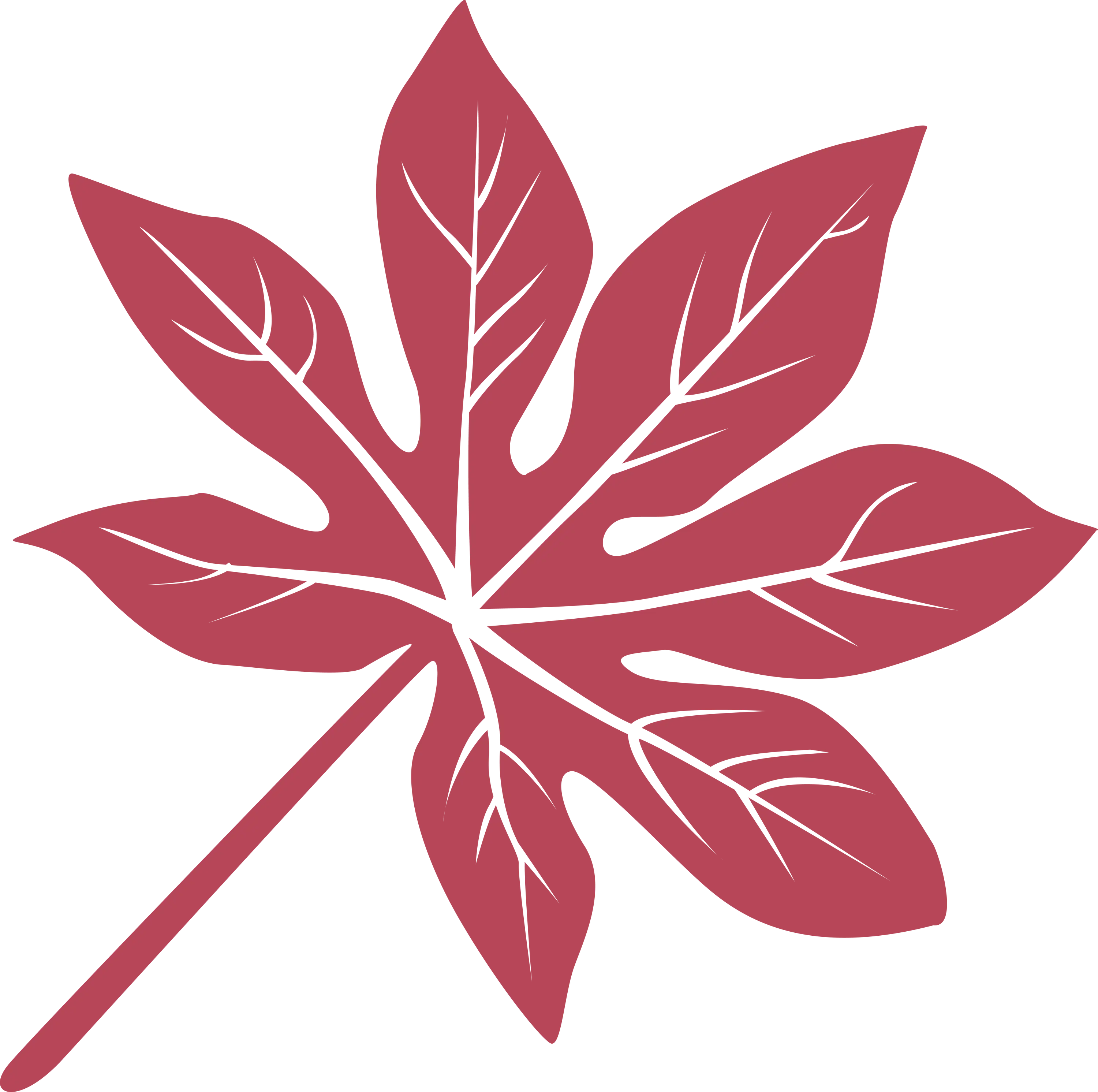 Scarlet Maple Leaf Illustration