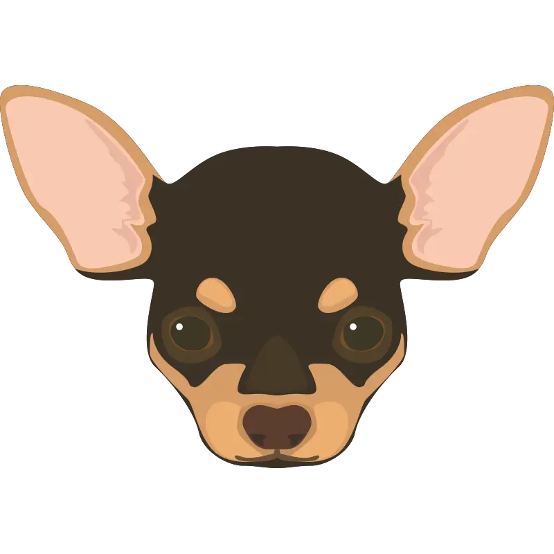 Chihuahua Dog Illustration with Cartoon Style