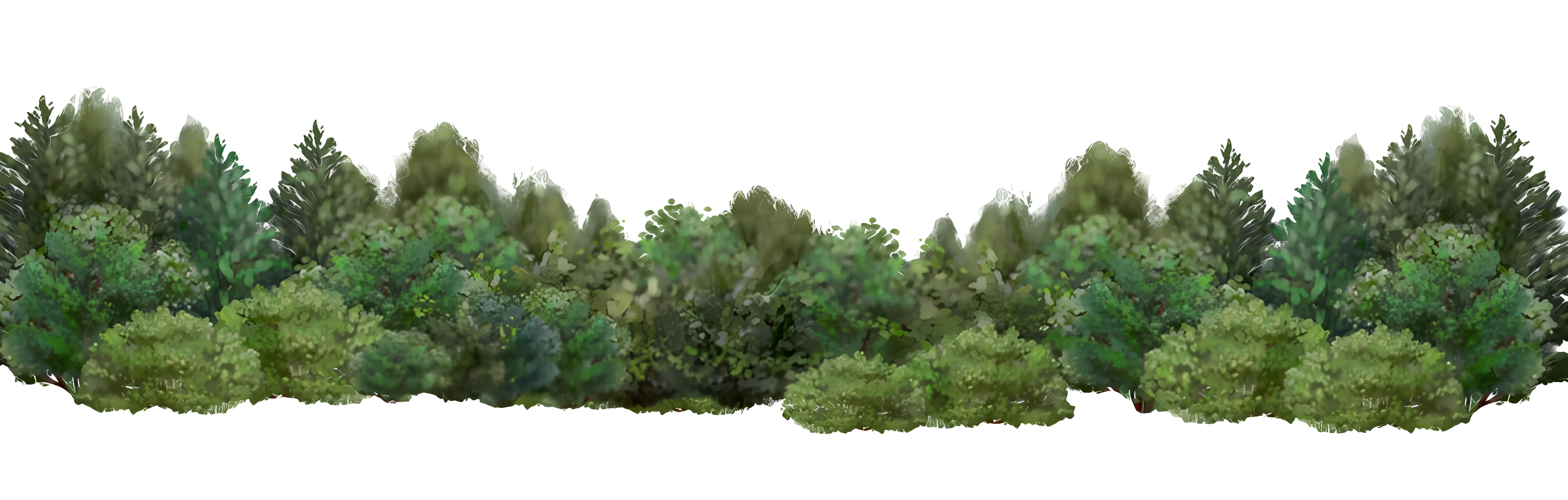 Dense Green Forest Scenery