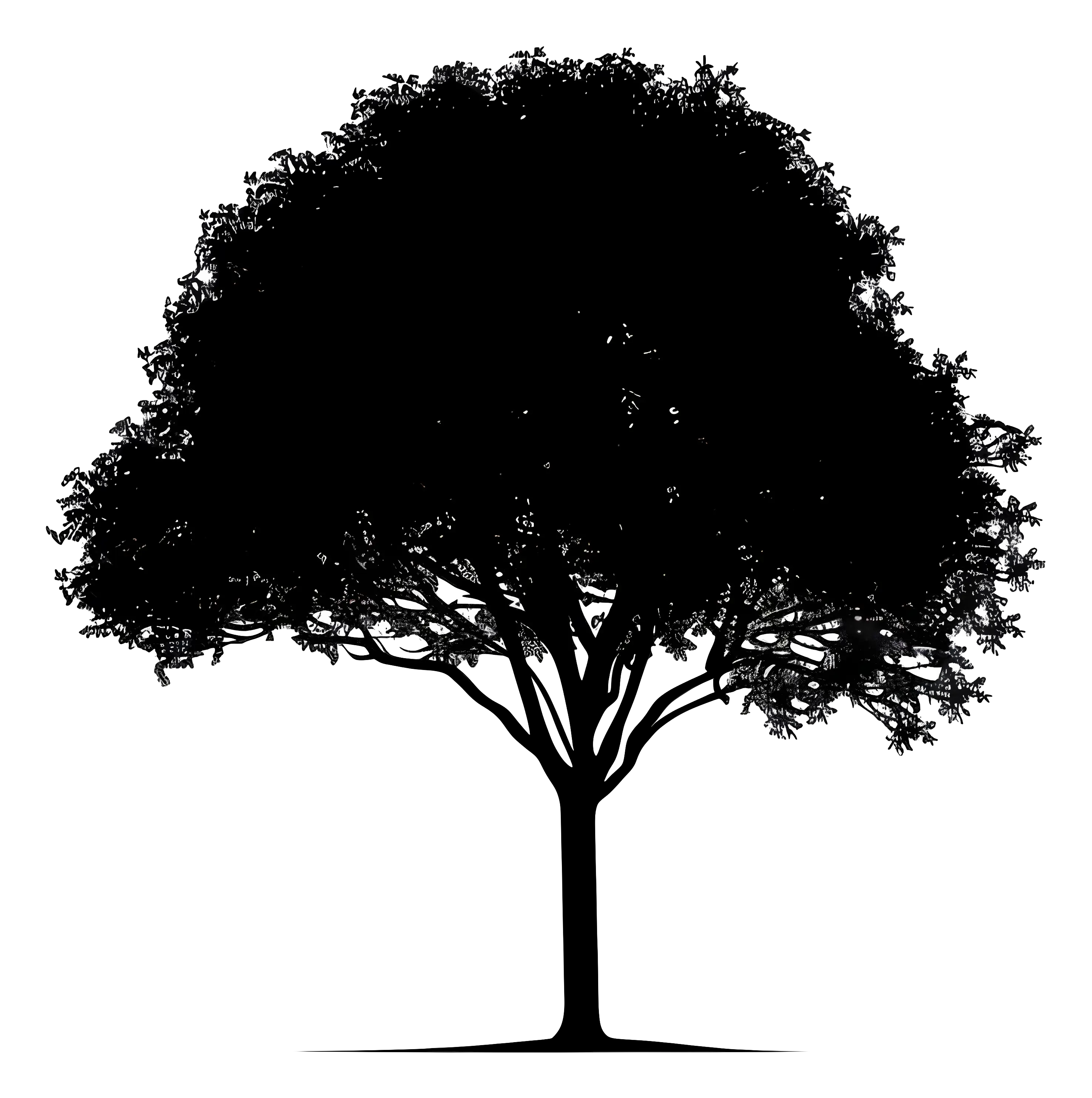 Silhouette of a Black Tree