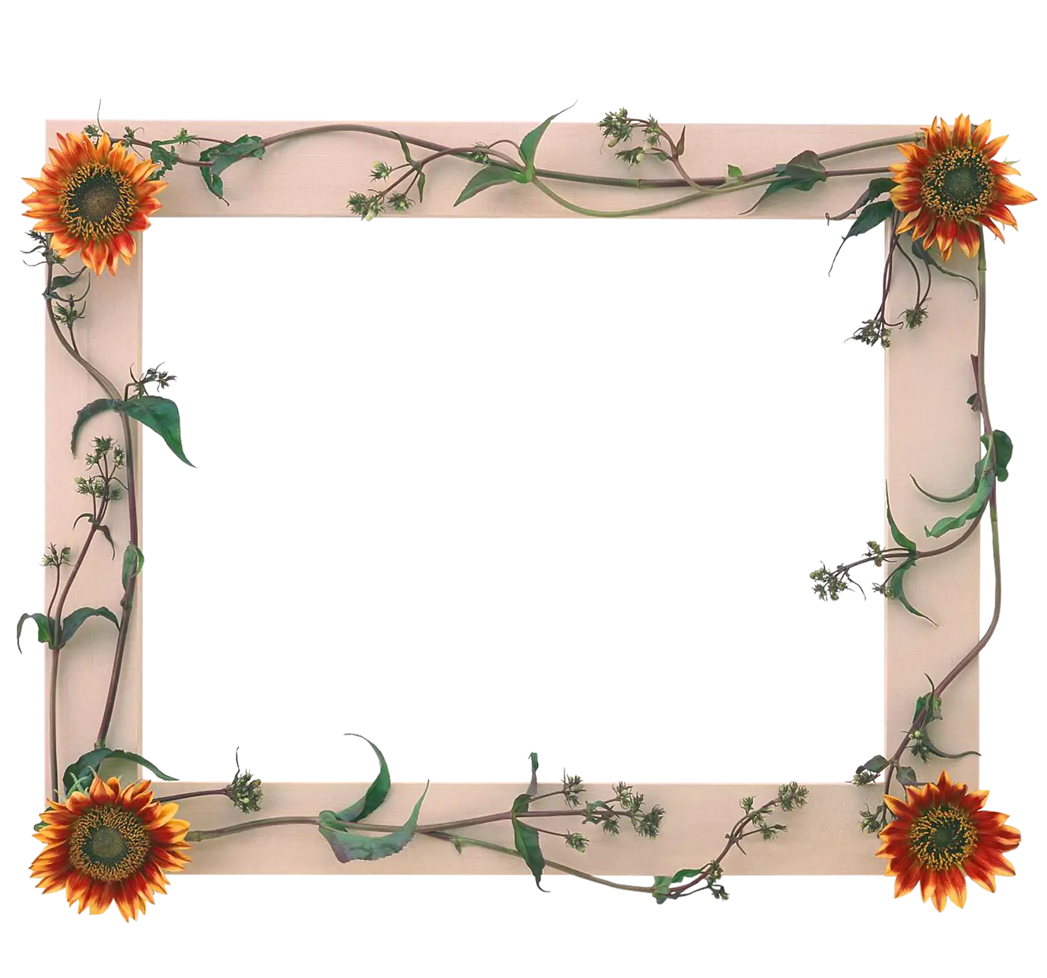 Sunflower Decorated Photo Frame