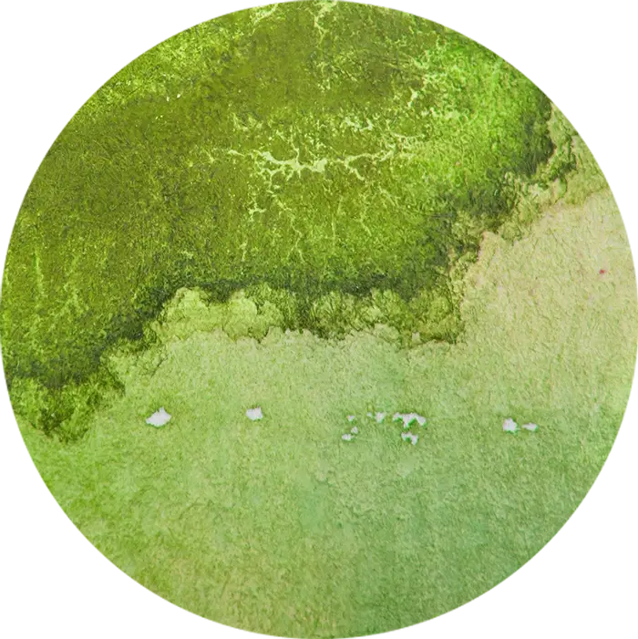 Abstract Green Circle with Texture
