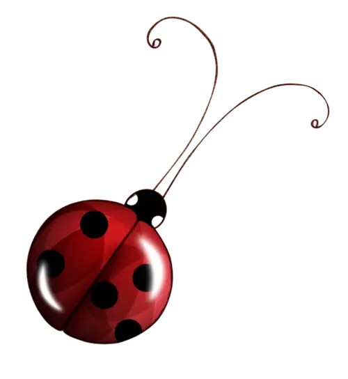 Cartoon Ladybug Illustration
