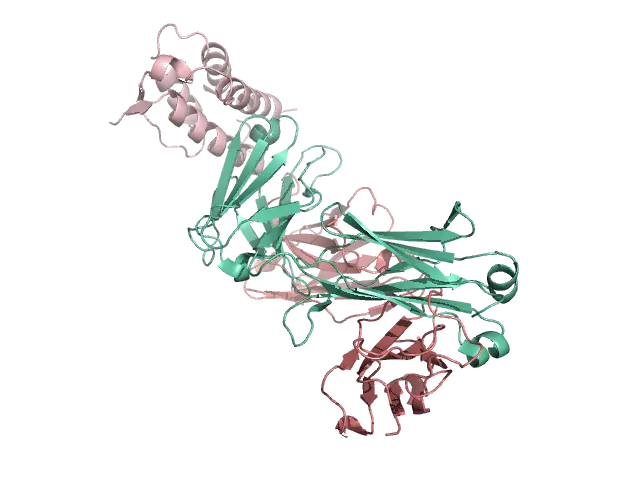 Protein Molecular Structure Illustration in 3D