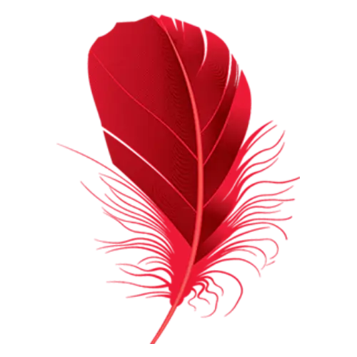 Soft Red Feather