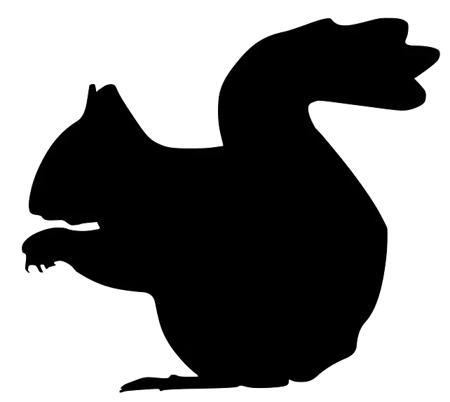 Squirrel Silhouette