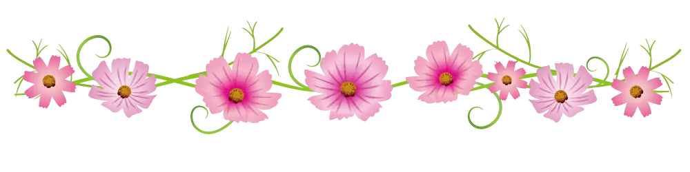 Pink Daisy Floral Border Decoration