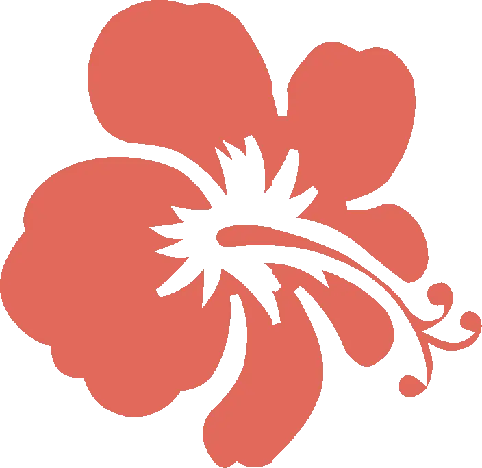 Red Hibiscus Flower Illustration