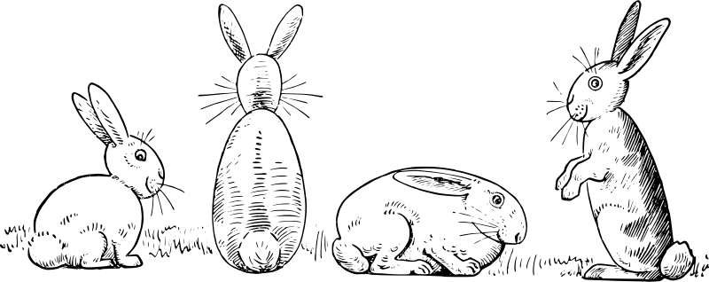 Line Drawing Illustration of Rabbits