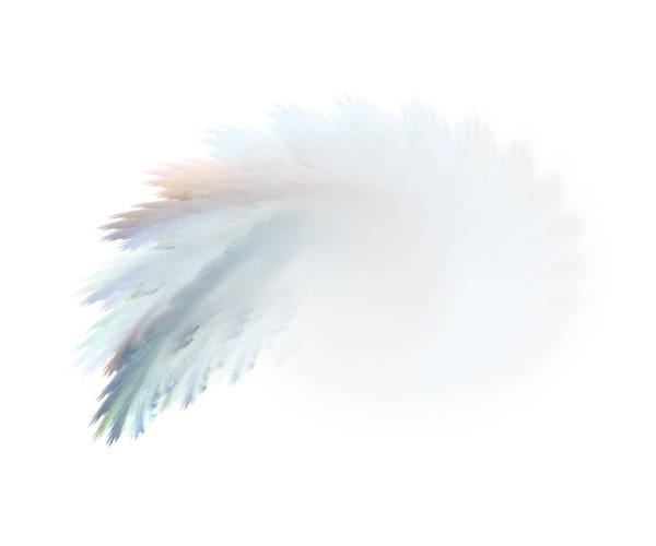 Soft Feather Illustration
