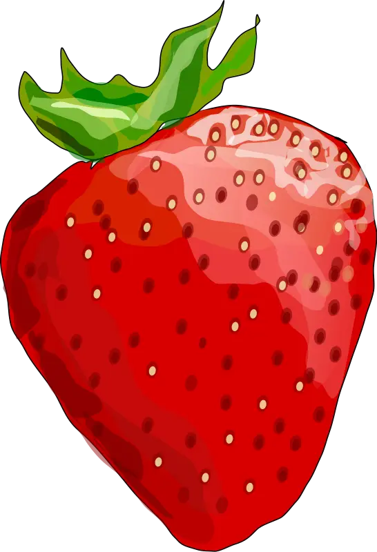 Red Strawberry Illustration