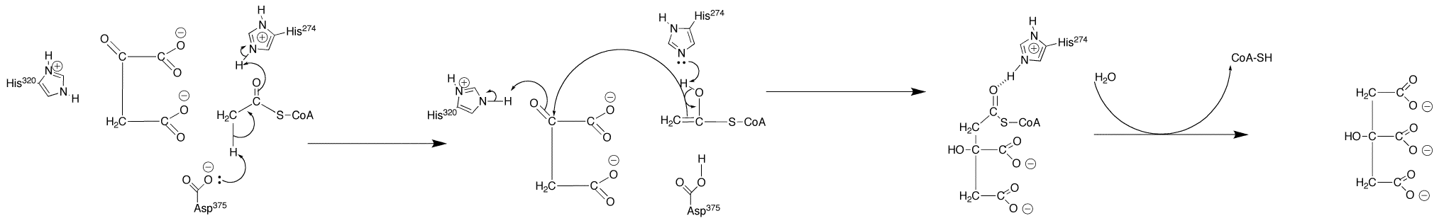 Detailed Chemical Reaction Diagram for Educational Use