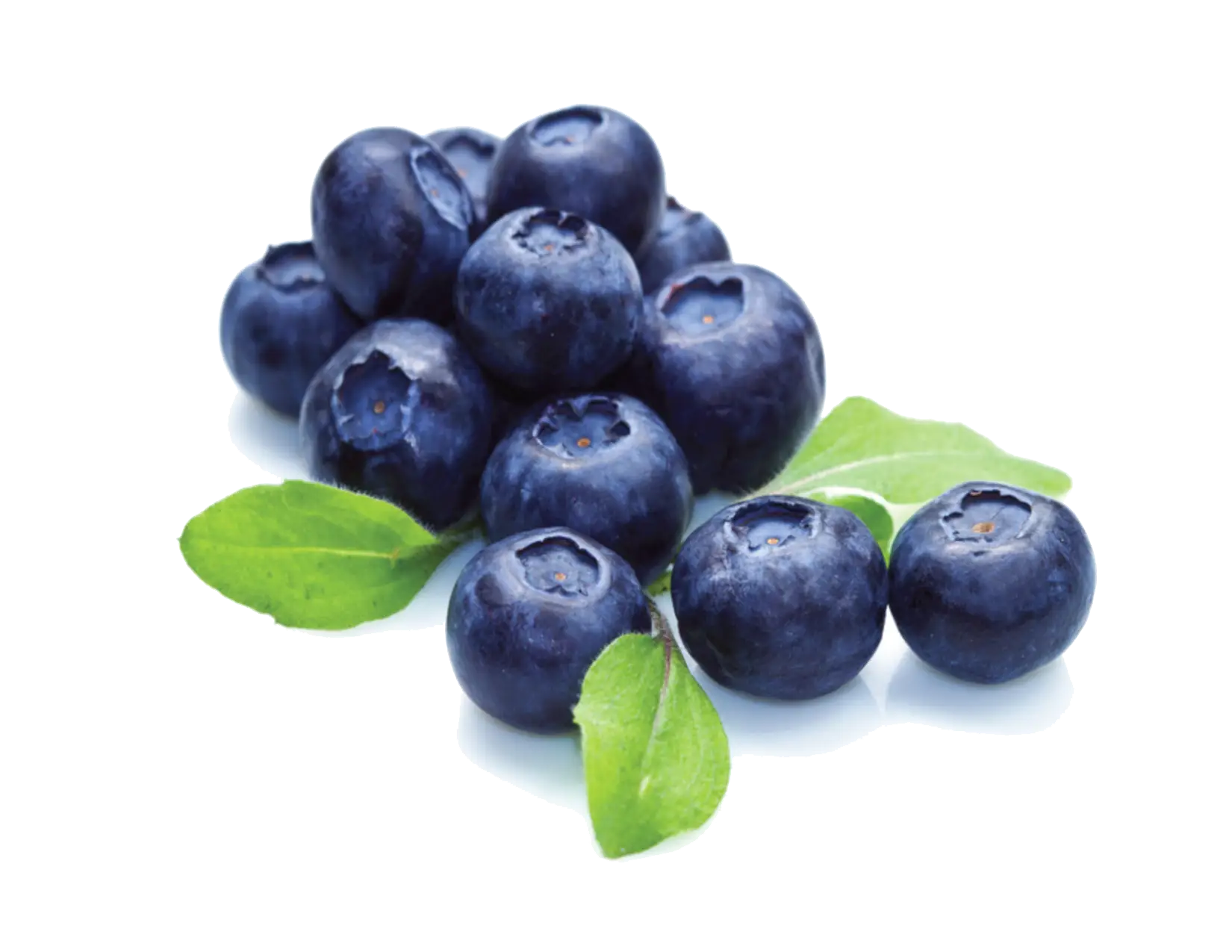 Fresh Blueberries with Green Leaves