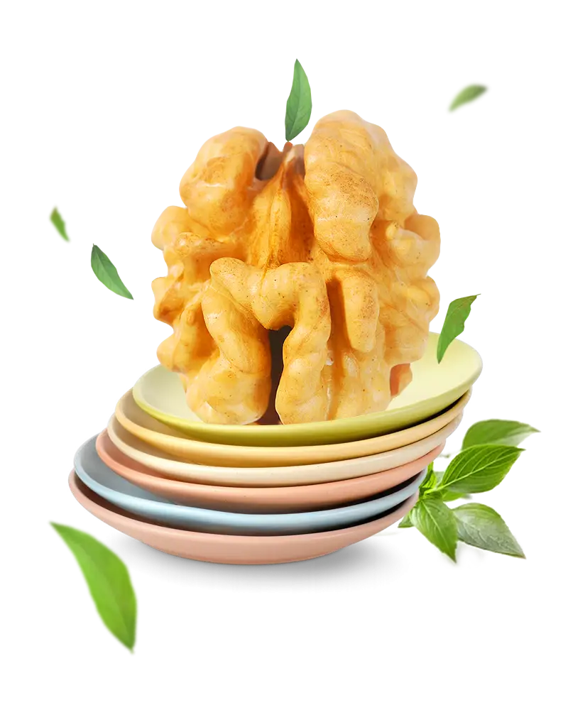 Walnut on Colorful Plates