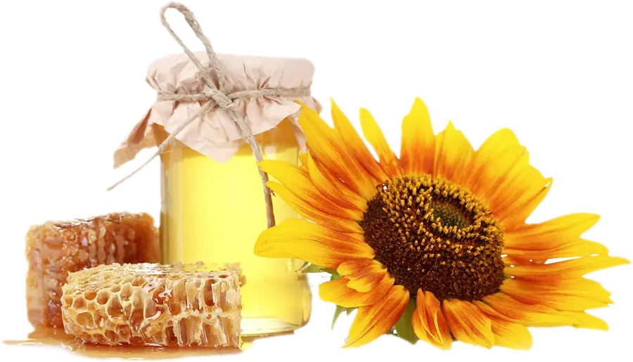 Jar of Honey with Sunflower and Honeycomb