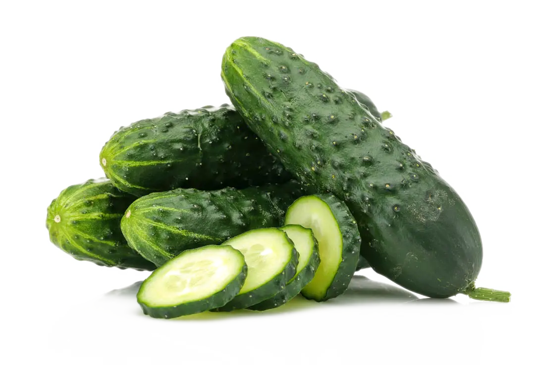 Fresh Cucumbers with Slices