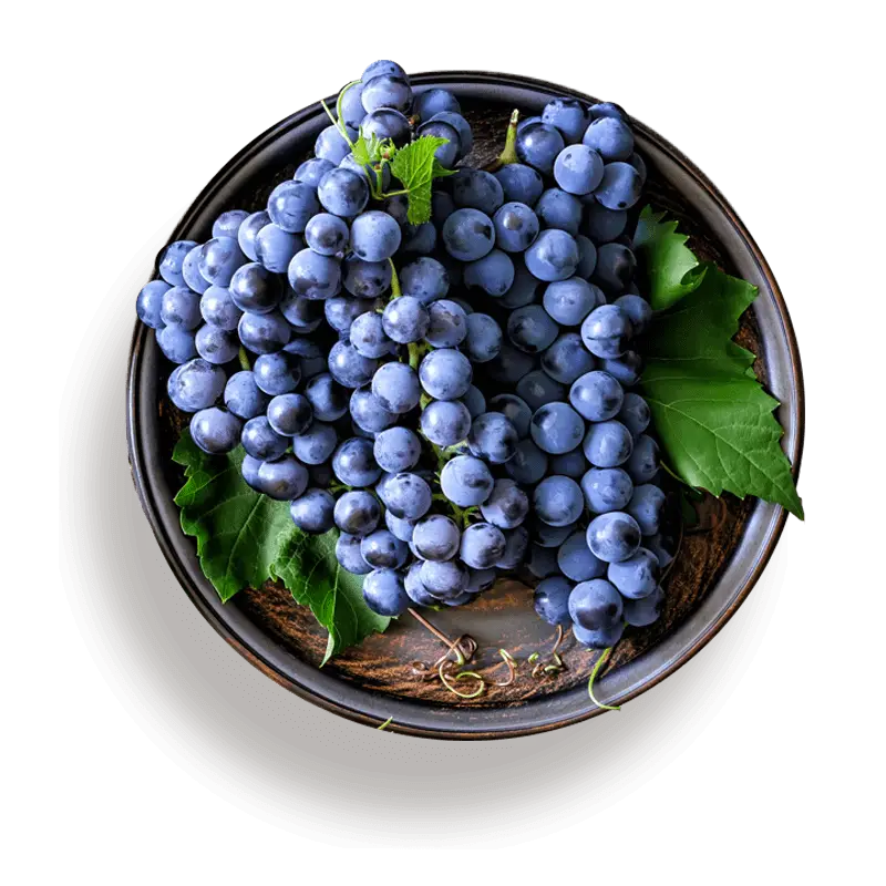 Fresh Purple Grapes in a Bowl